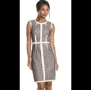 Bcbg Maxazria Rumor Dress White Black Lace Blocked Sheath Dress Size 8